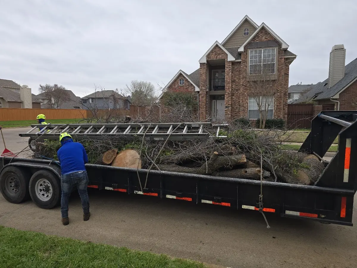 Expert Tree Fertilization with proper safety equipment in Eagle Bend